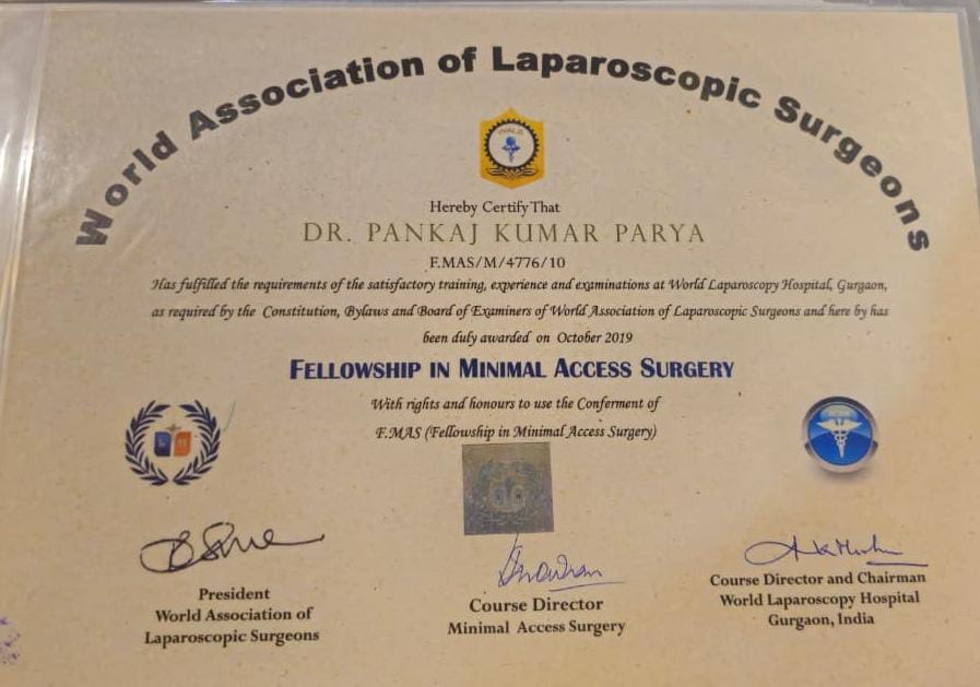 WALS Fellowship Certificate